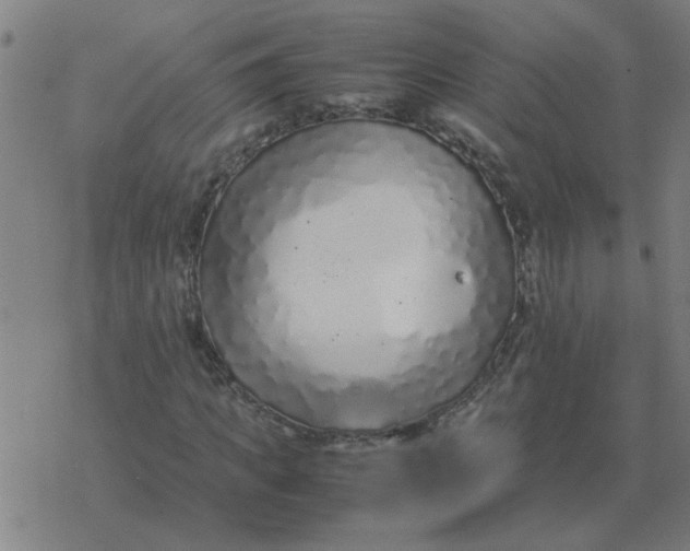 X0000077390917200611101750