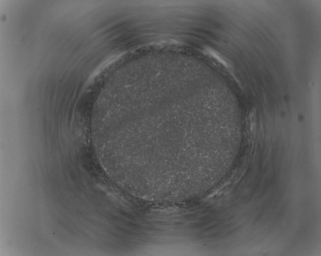 X0000077390919200611101750