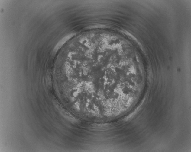 X0000077390921200611101750