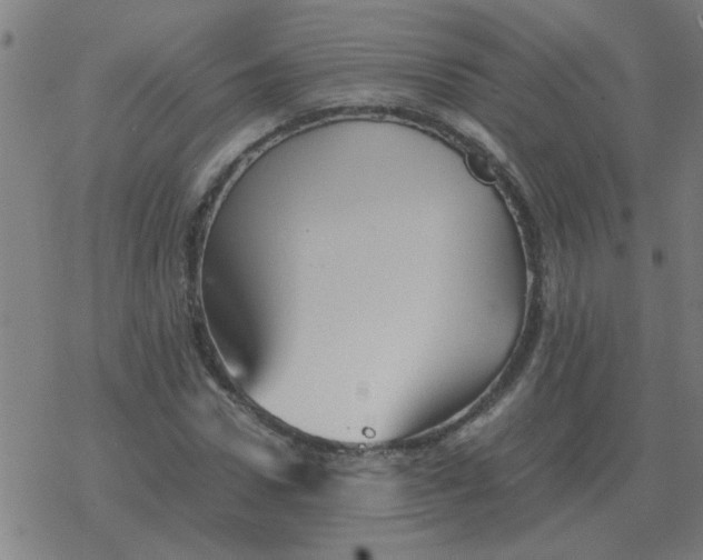 X0000077390922200611101750