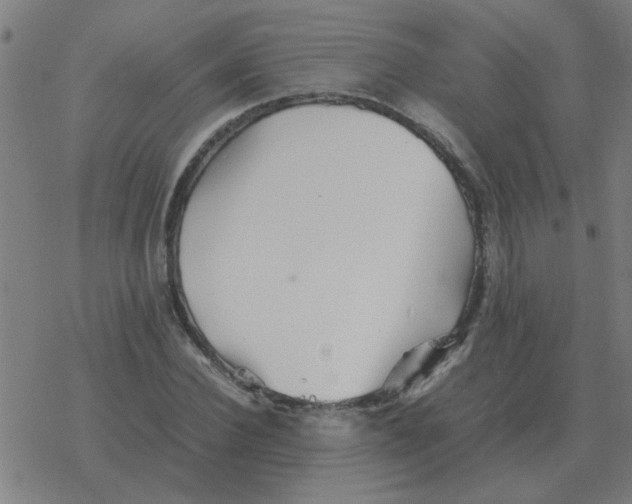 X0000077390924200611101750