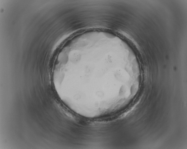 X0000077390925200611101751