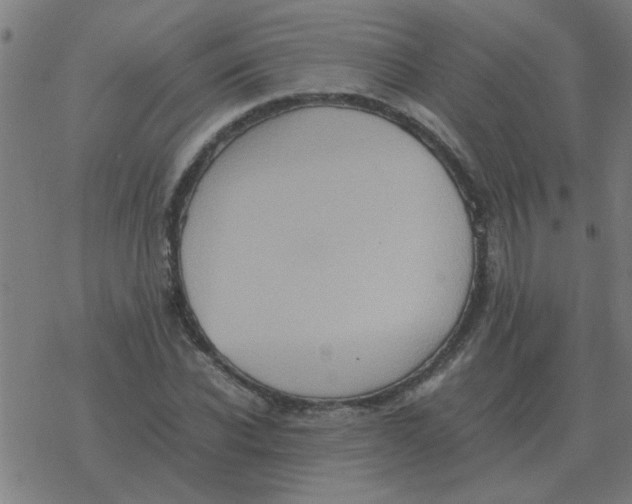 X0000077390926200611101751