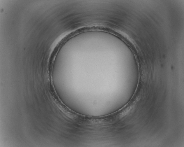 X0000077390927200611101751