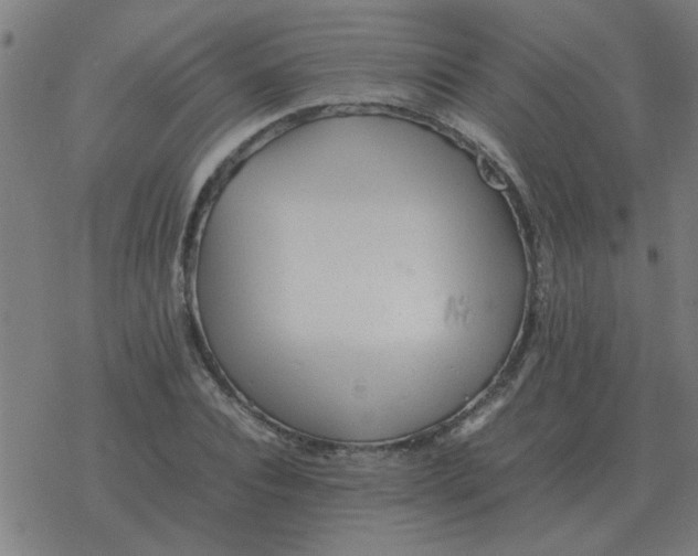 X0000077390928200611101751