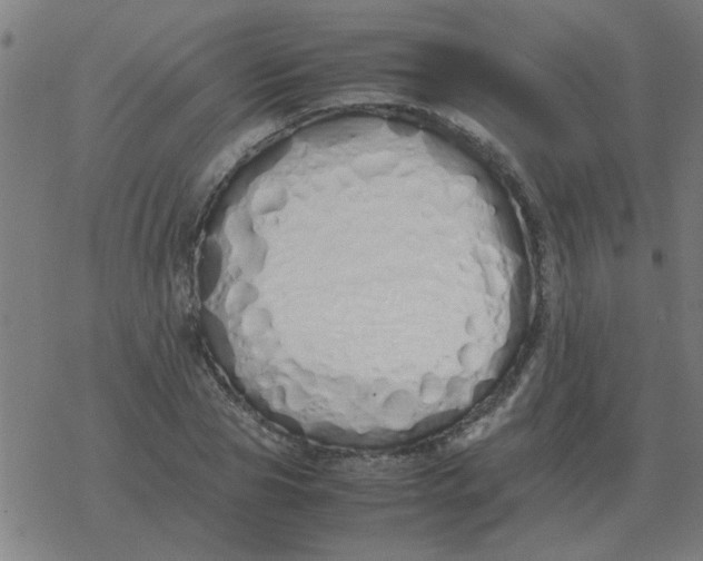 X0000077390929200611101751