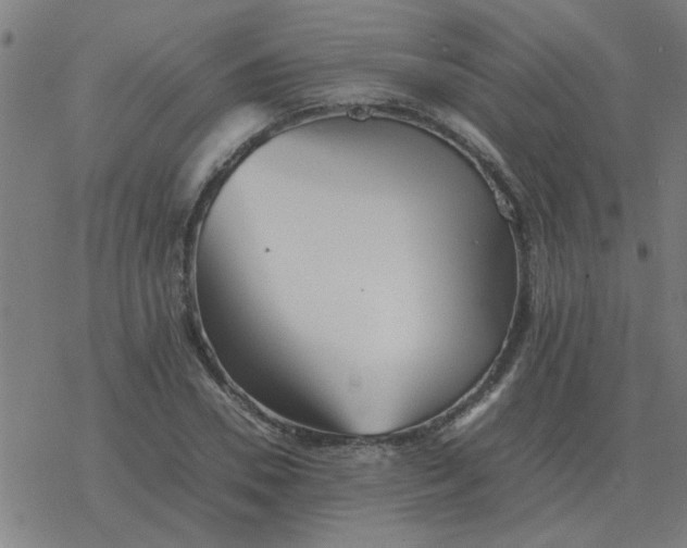 X0000077390930200611101751