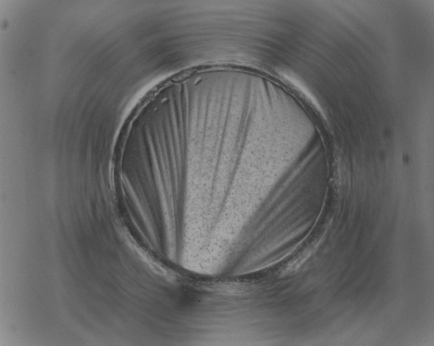 X0000077390932200611101751