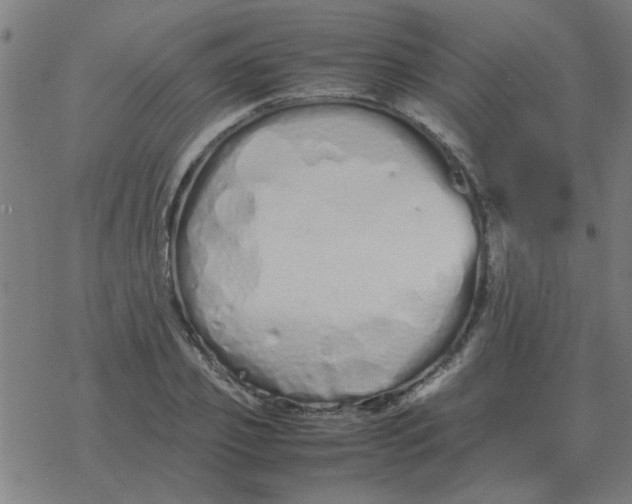 X0000077390933200611101751