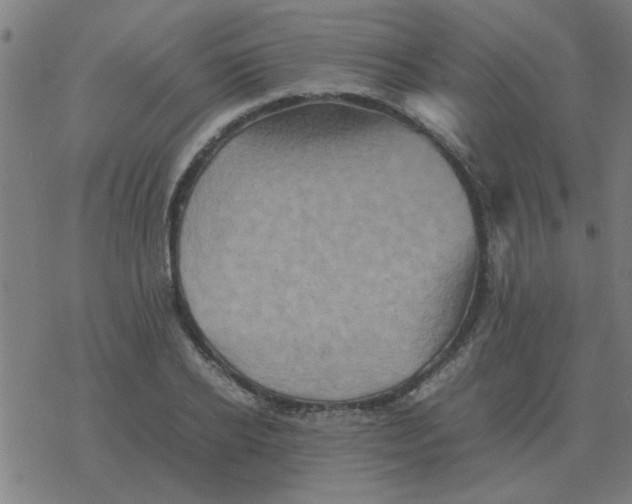 X0000077390934200611101751