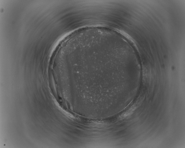 X0000077390935200611101751