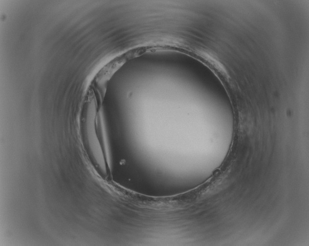 X0000077390936200611101751