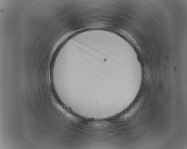 X0000077390939200611101751