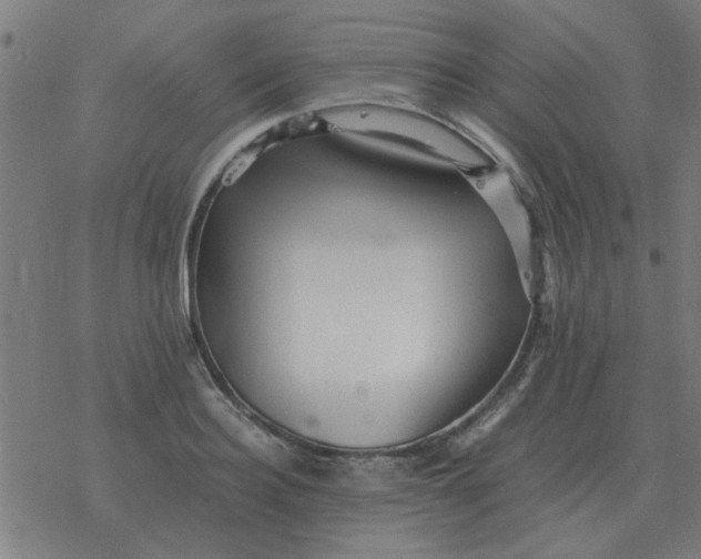 X0000077390940200611101751