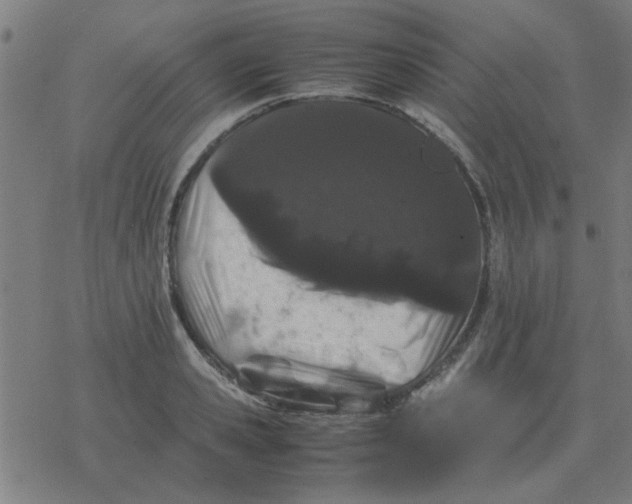 X0000077390941200611101751