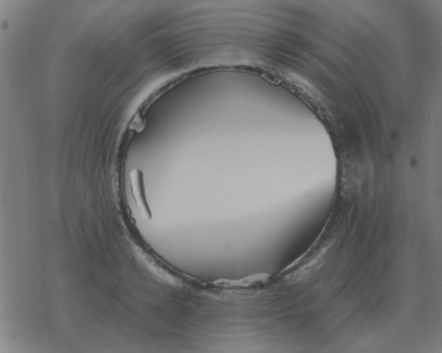 X0000077390942200611101751