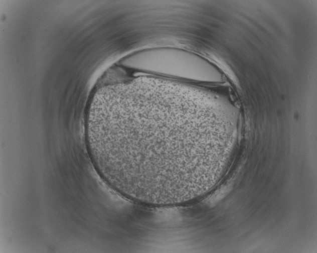 X0000077390944200611101751