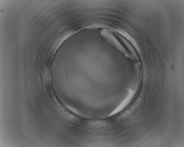 X0000077390945200611101751