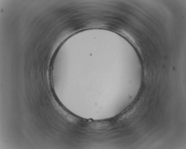 X0000077390947200611101751