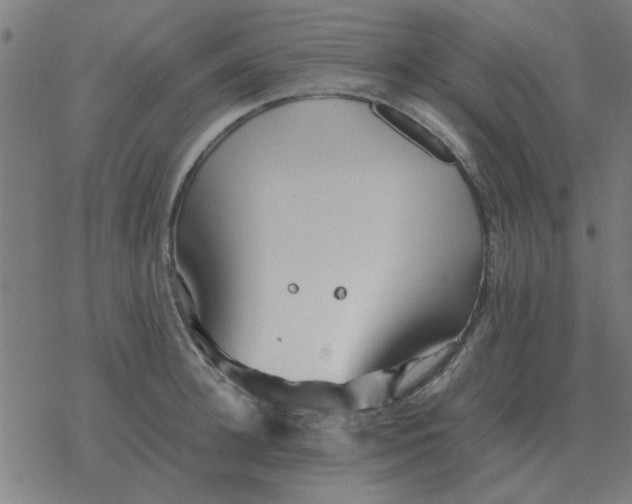 X0000077390948200611101751