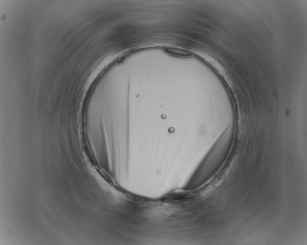 X0000077390949200611101751