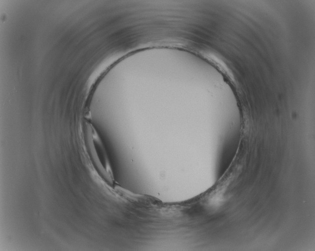 X0000077390952200611101751