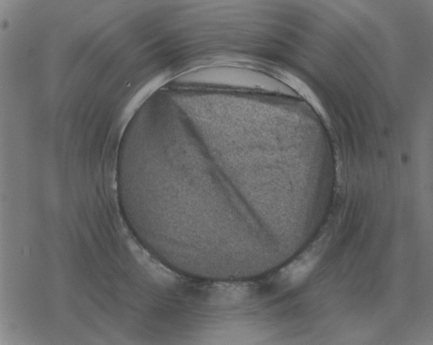 X0000077390954200611101751