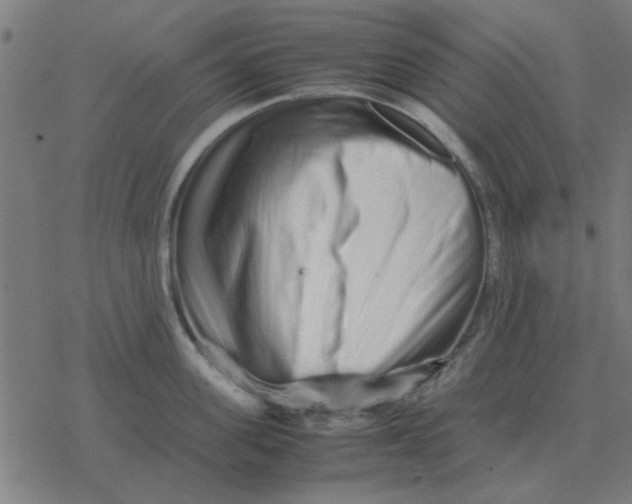 X0000077390955200611101751