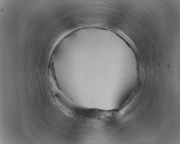 X0000077390956200611101751