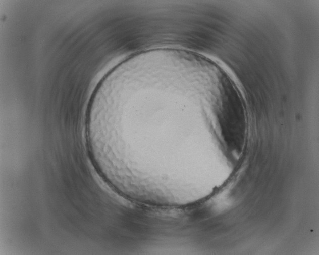 X0000077390957200611101751