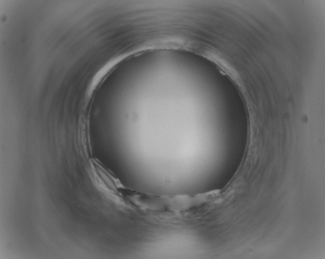 X0000077390960200611101751