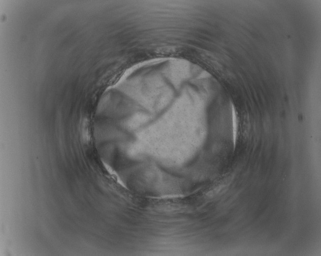 X0000077390962200611101750