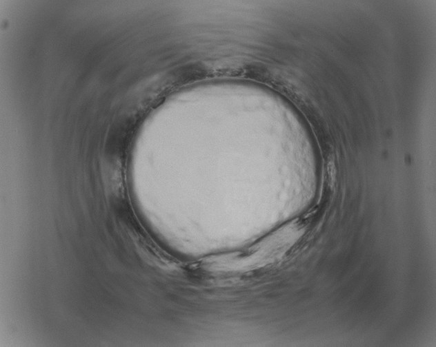 X0000077390963200611101750