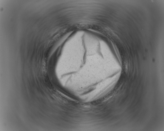 X0000077390964200611101750