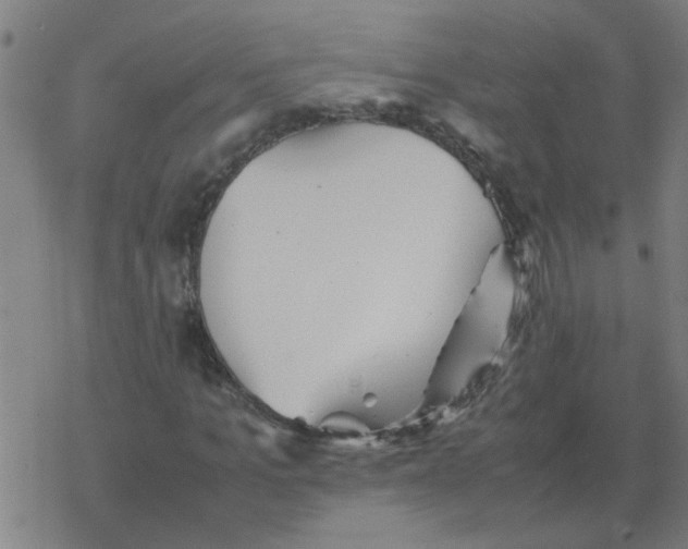 X0000077390965200611101750