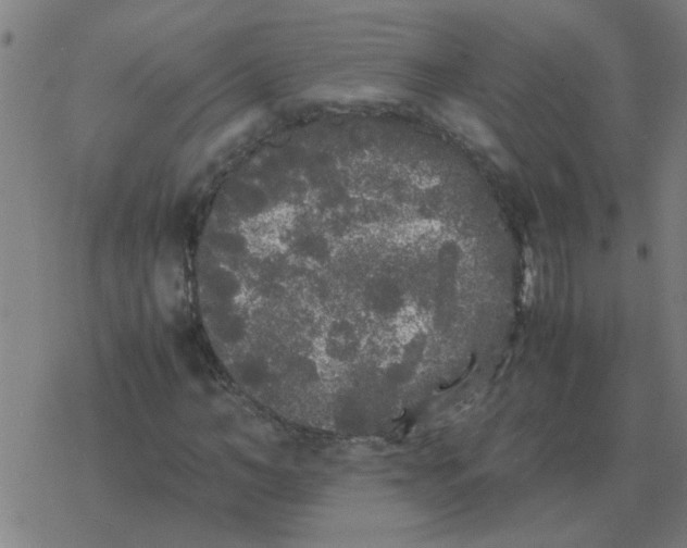 X0000077390966200611101750