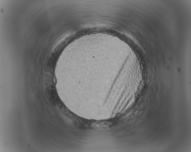 X0000077390967200611101750