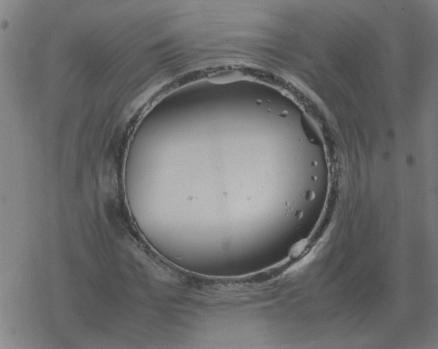 X0000077390969200611101750