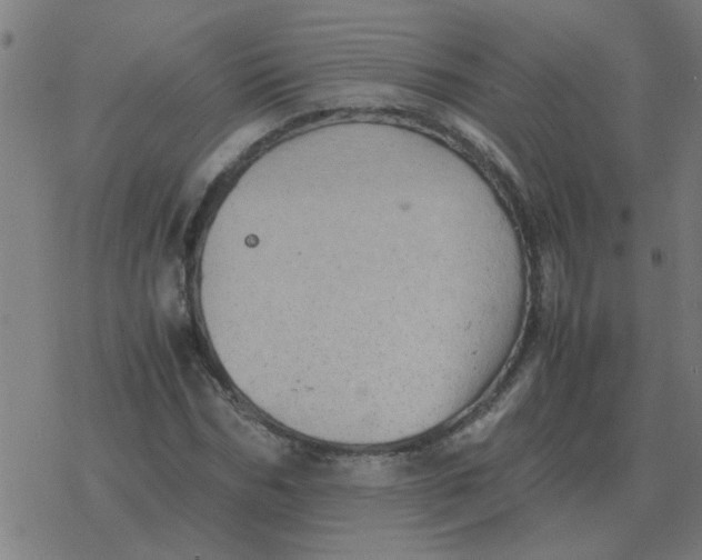 X0000077390970200611101750