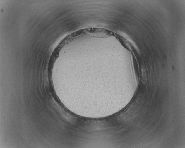 X0000077390972200611101750