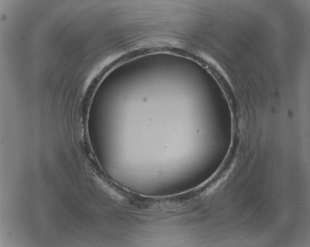 X0000077390973200611101750