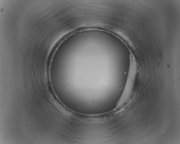 X0000077390976200611101750