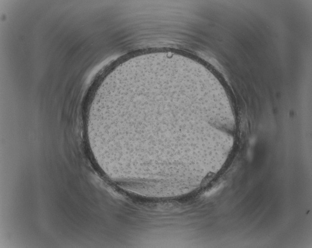 X0000077390979200611101750