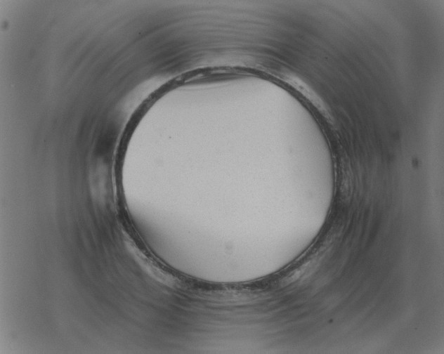 X0000077390980200611101750