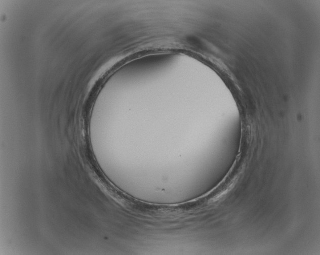 X0000077390981200611101750