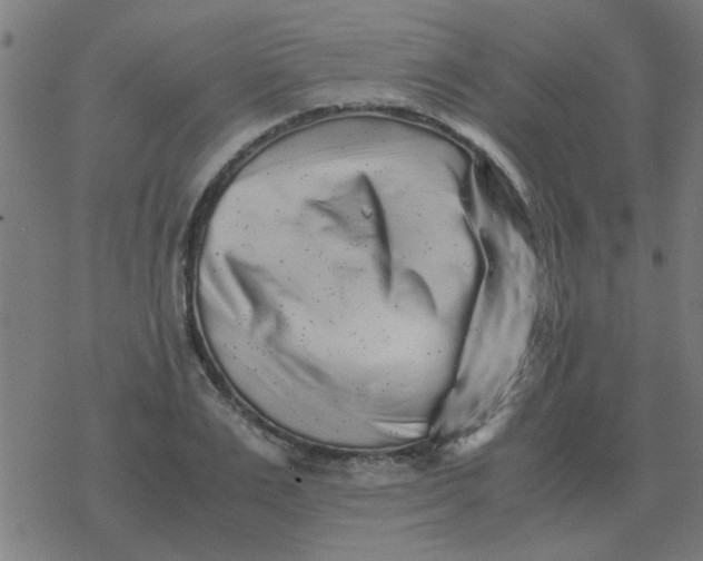 X0000077390983200611101750