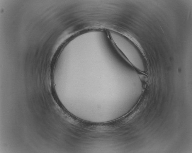 X0000077390984200611101750