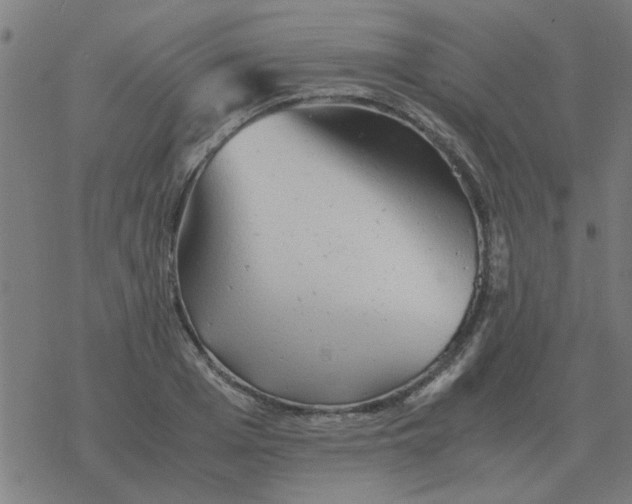 X0000077390985200611101750