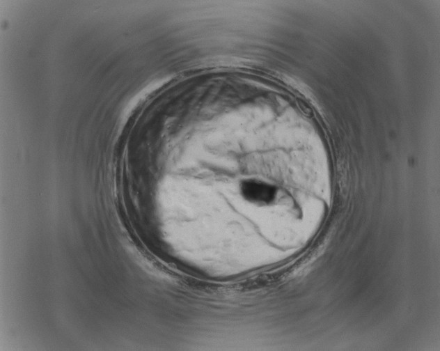 X0000077390987200611101750