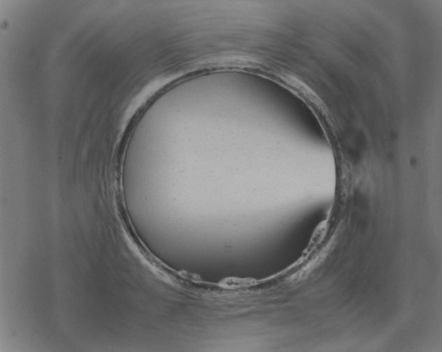 X0000077390989200611101750